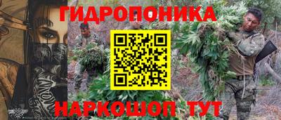 ALPHA PVP Аргун
