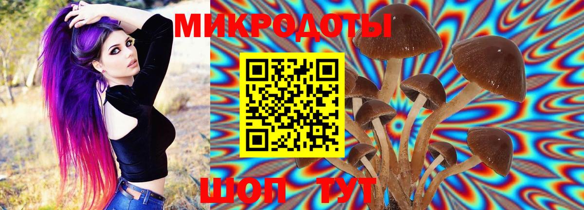 Ачинск  Псилоцибиновые грибы Magic Shrooms  купить   Вход с VPN 